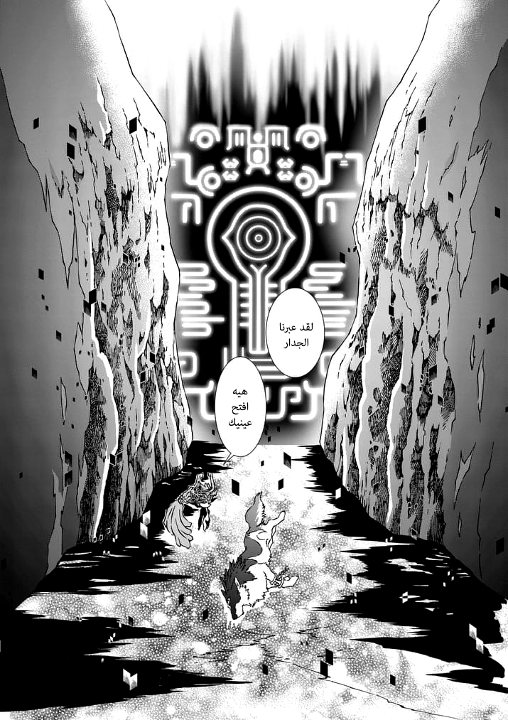 Zelda no Densetsu: Twilight Princess: Chapter 20 - Page 2