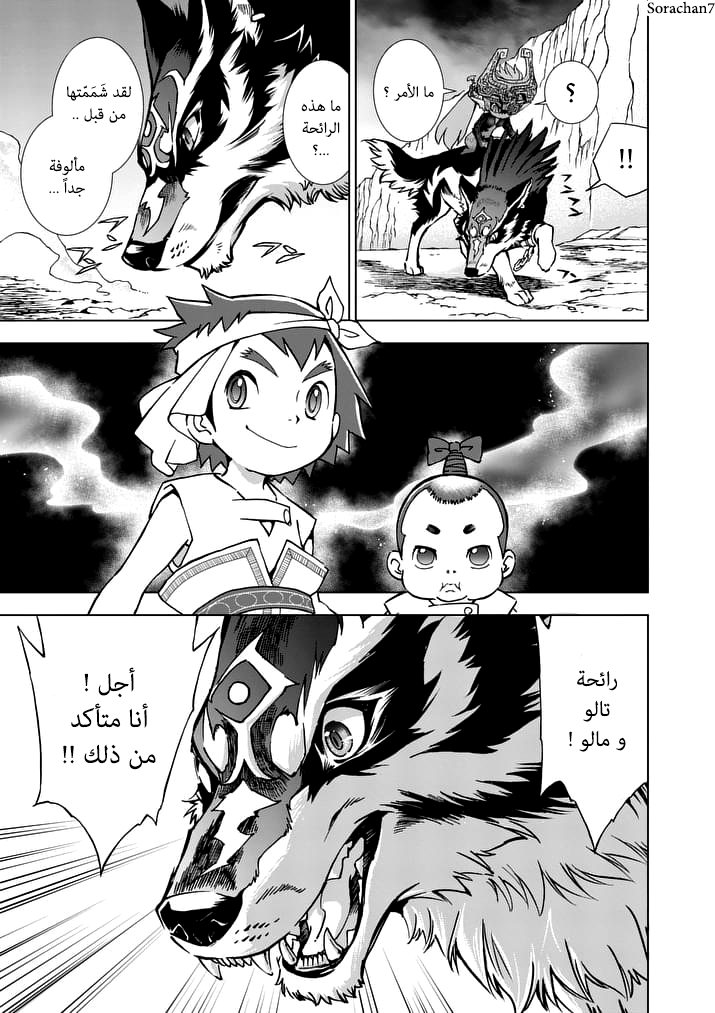 Zelda no Densetsu: Twilight Princess: Chapter 20 - Page 5