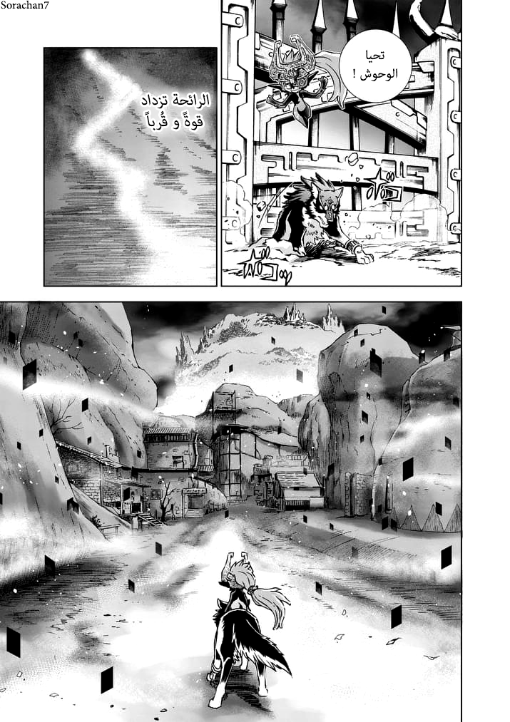 Zelda no Densetsu: Twilight Princess: Chapter 20 - Page 11