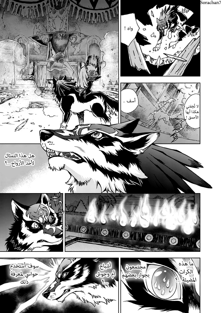 Zelda no Densetsu: Twilight Princess: Chapter 20 - Page 13