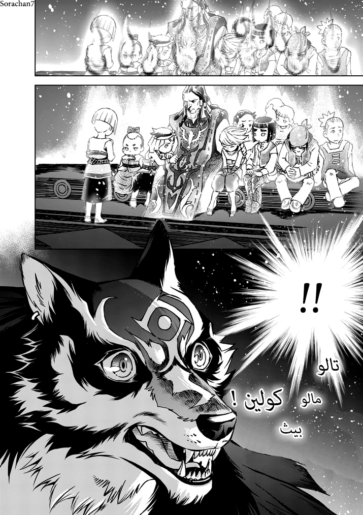 Zelda no Densetsu: Twilight Princess: Chapter 20 - Page 14