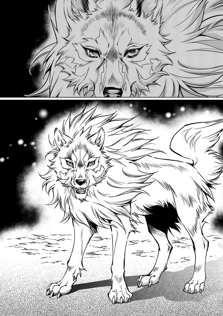 Zelda no Densetsu: Twilight Princess: Chapter 21 - Page 16