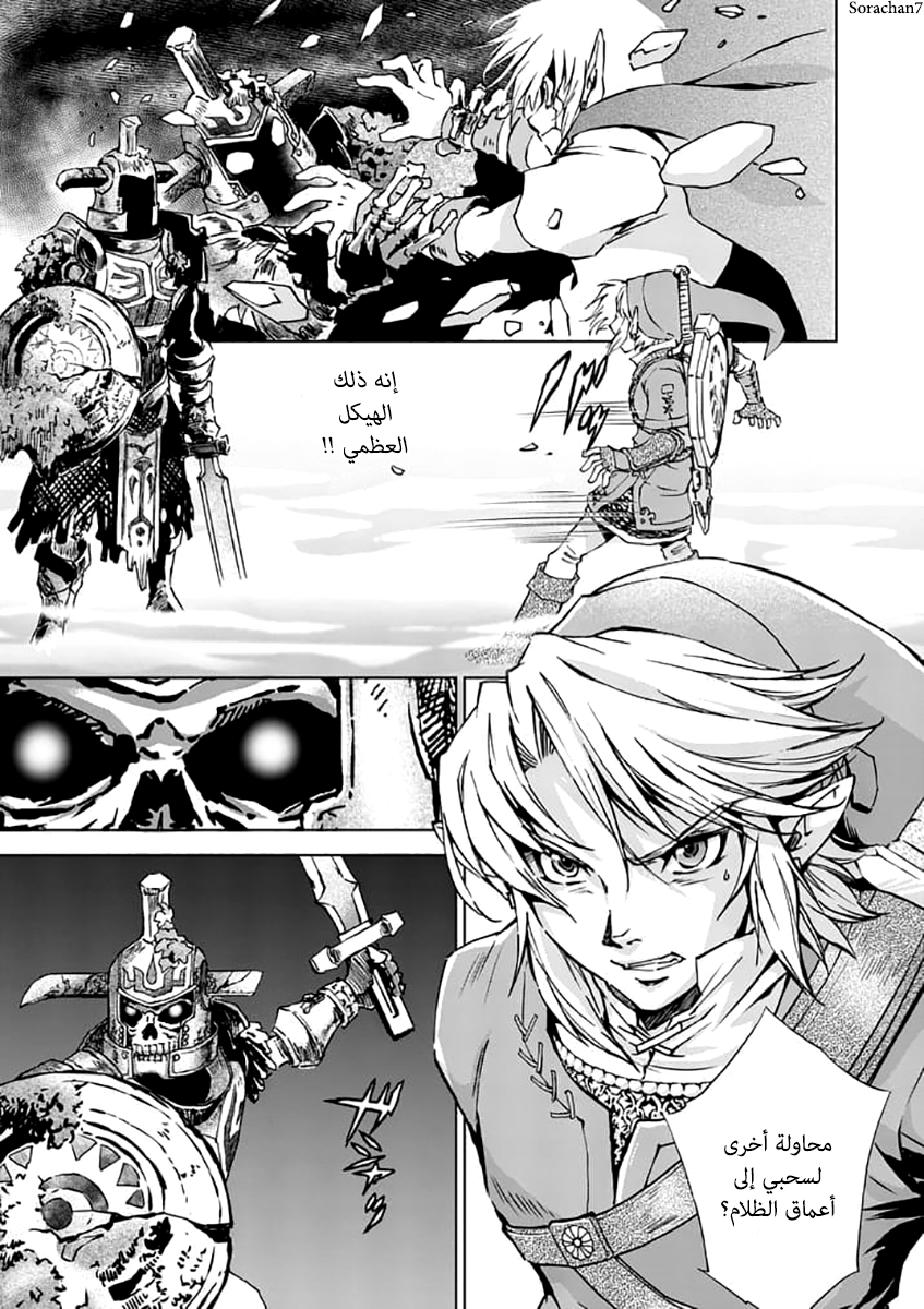 Zelda no Densetsu: Twilight Princess: Chapter 22 - Page 10