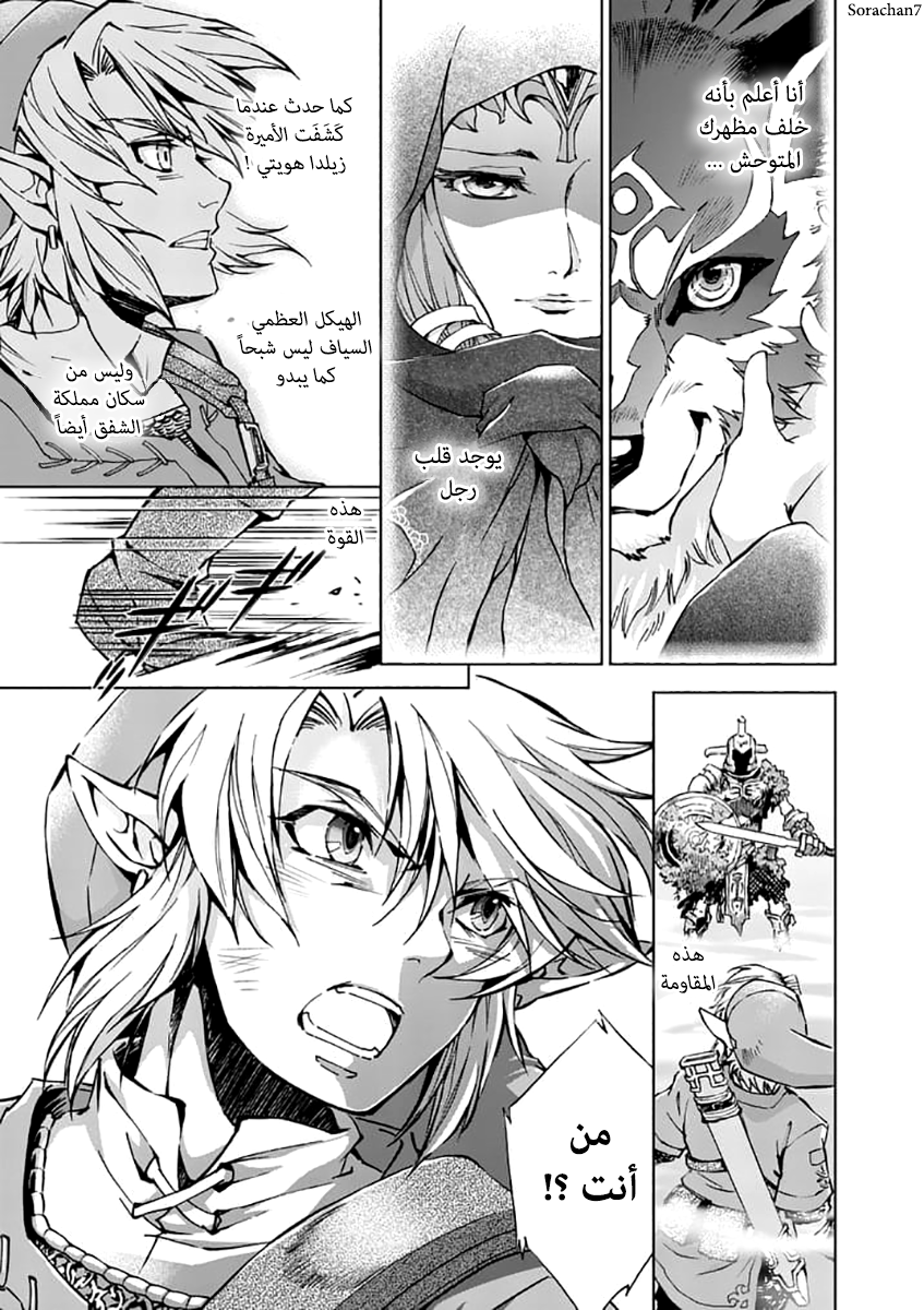 Zelda no Densetsu: Twilight Princess: Chapter 22 - Page 18