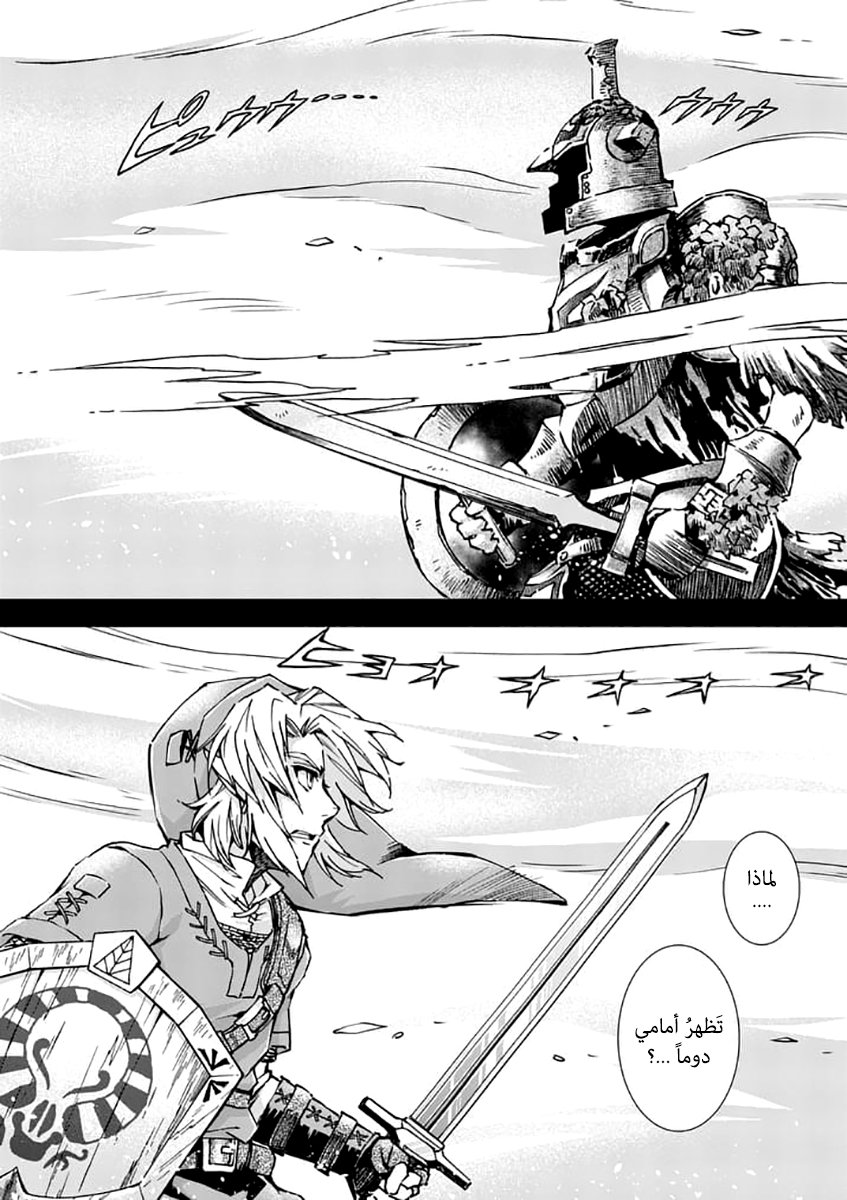 Zelda no Densetsu: Twilight Princess: Chapter 22 - Page 19