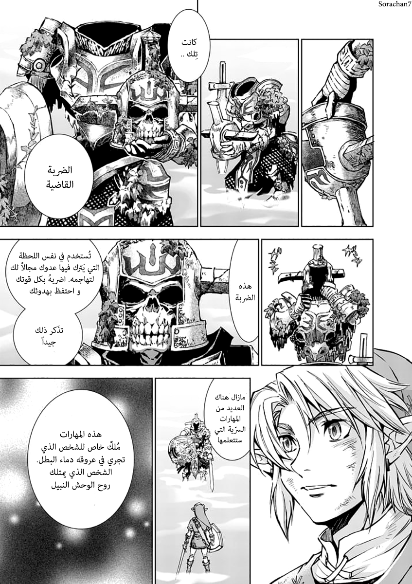 Zelda no Densetsu: Twilight Princess: Chapter 23 - Page 14