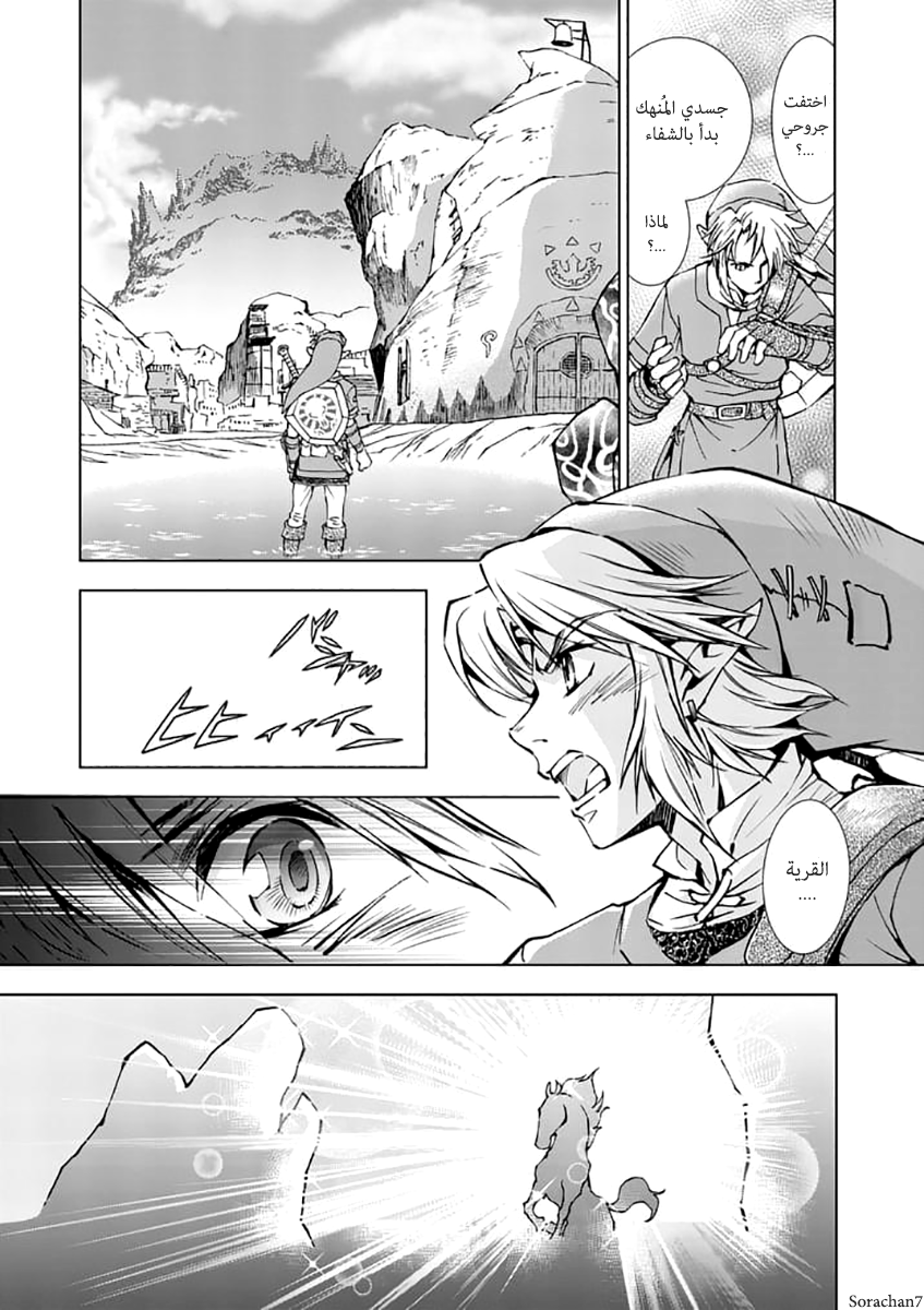 Zelda no Densetsu: Twilight Princess: Chapter 24 - Page 6