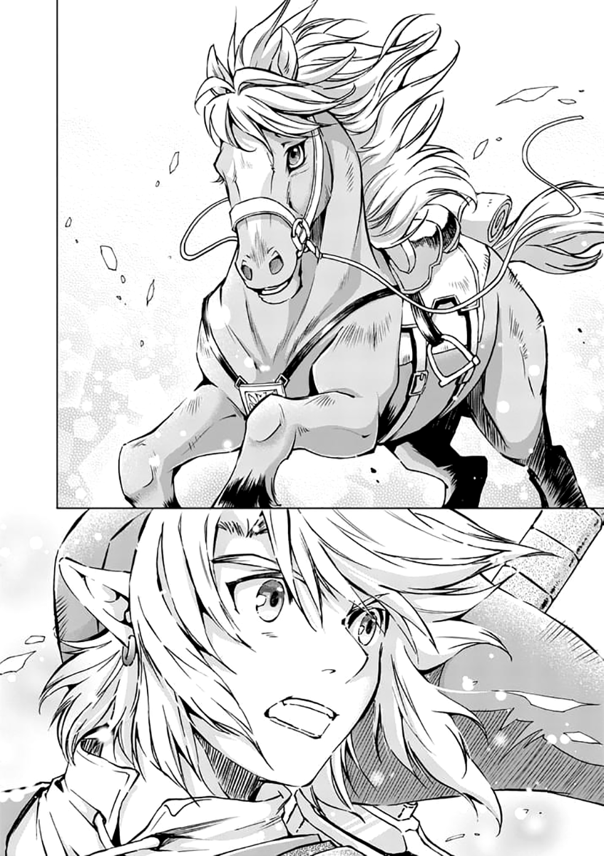 Zelda no Densetsu: Twilight Princess: Chapter 24 - Page 7