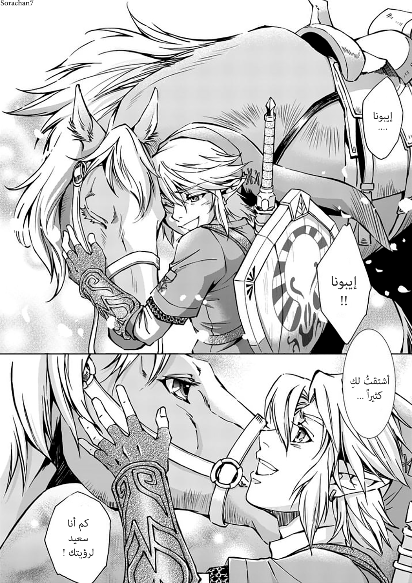 Zelda no Densetsu: Twilight Princess: Chapter 24 - Page 9