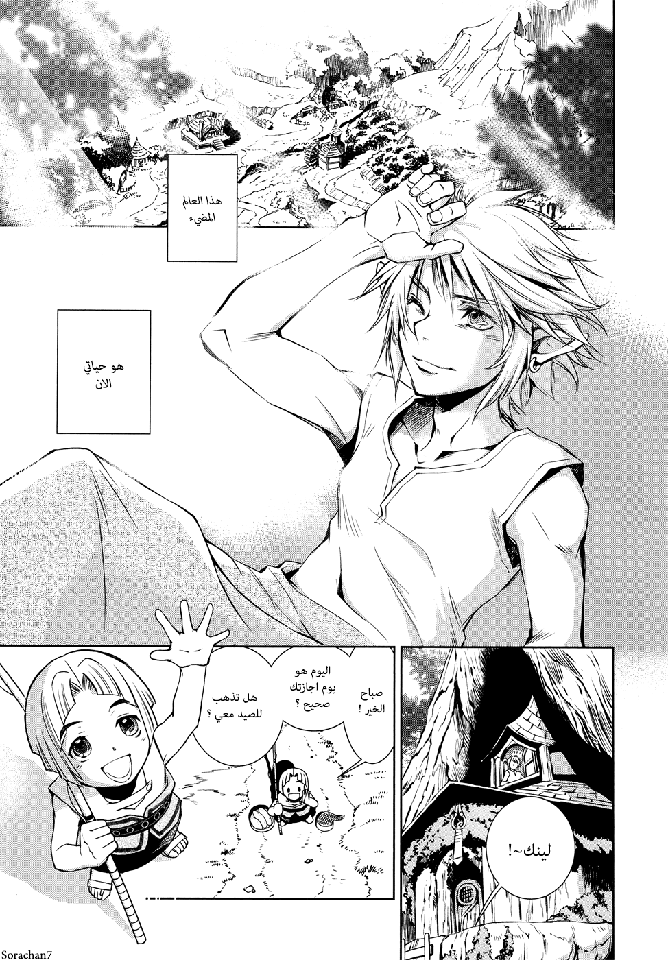 Zelda no Densetsu: Twilight Princess: Chapter 3 - Page 5