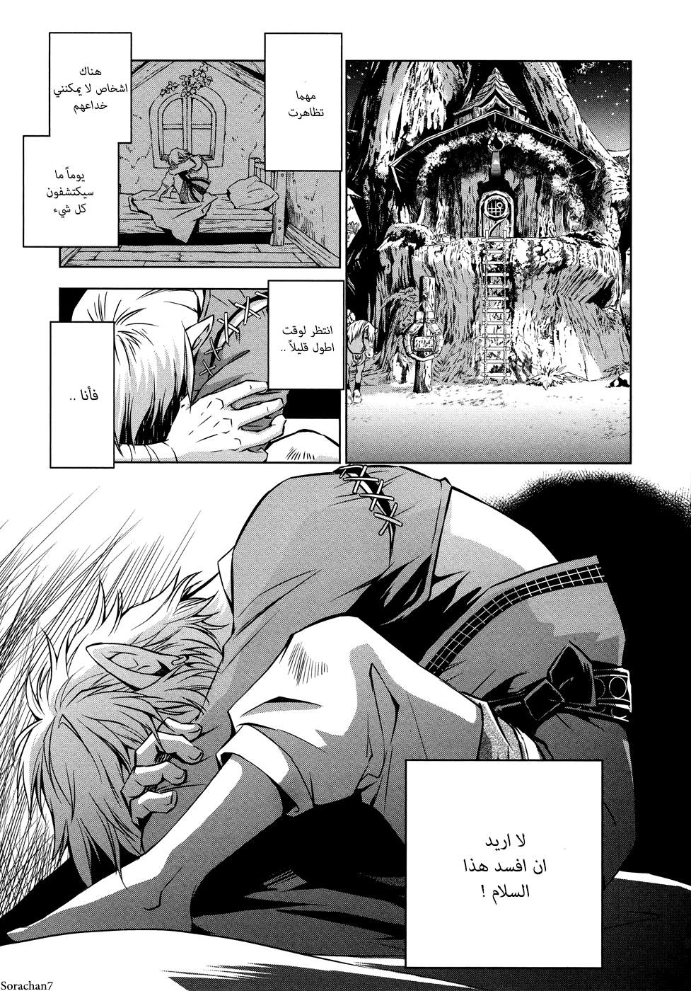 Zelda no Densetsu: Twilight Princess: Chapter 4 - Page 13