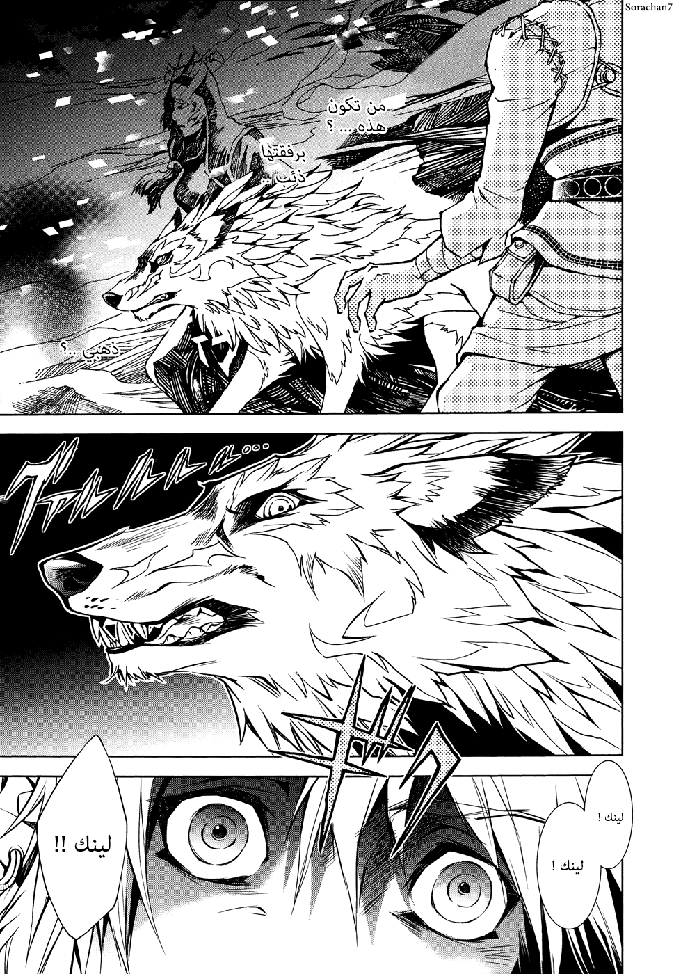 Zelda no Densetsu: Twilight Princess: Chapter 4 - Page 21