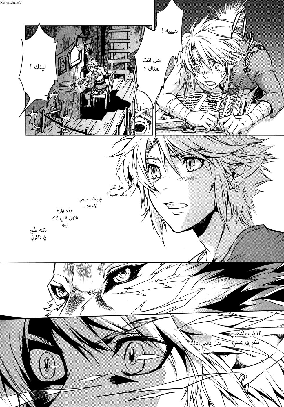 Zelda no Densetsu: Twilight Princess: Chapter 4 - Page 22