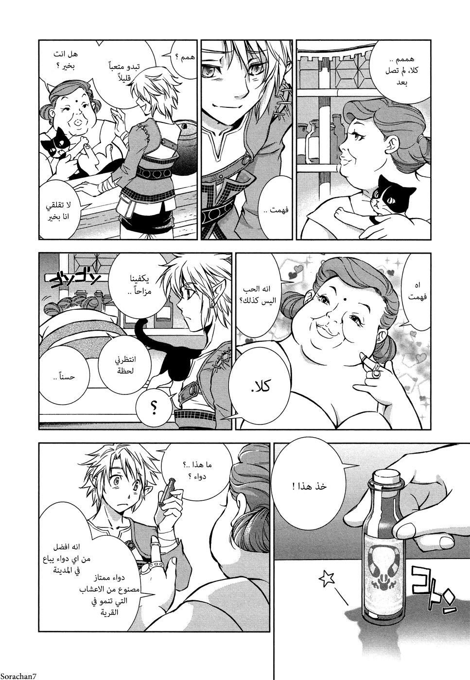 Zelda no Densetsu: Twilight Princess: Chapter 5 - Page 4