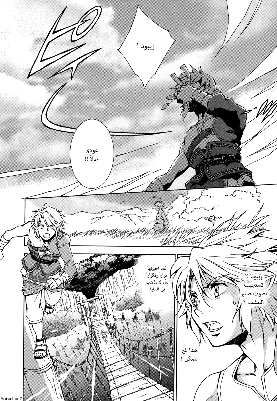 Zelda no Densetsu: Twilight Princess: Chapter 5 - Page 10