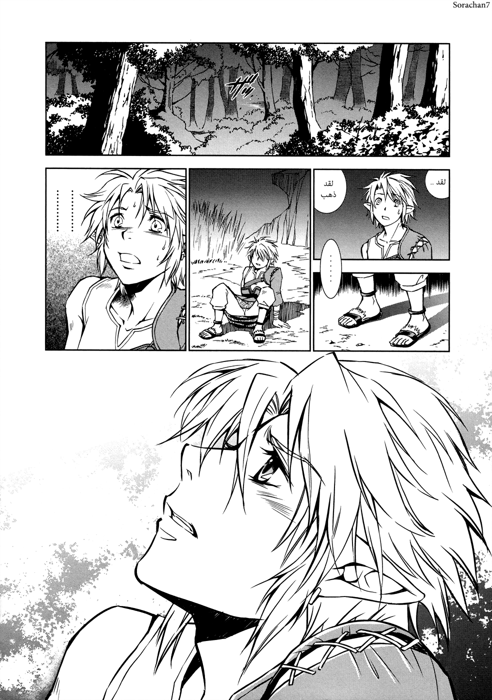 Zelda no Densetsu: Twilight Princess: Chapter 5 - Page 17