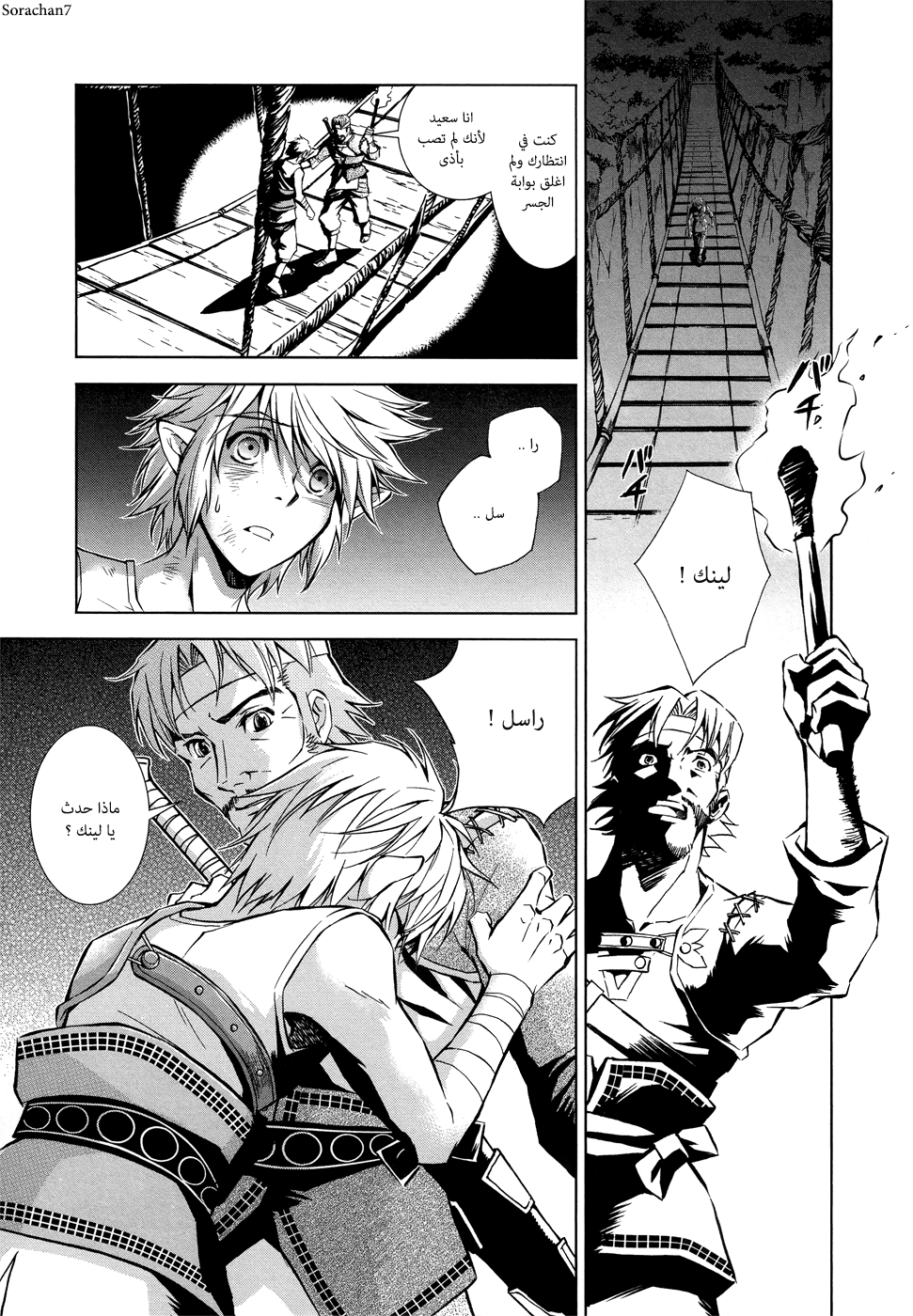 Zelda no Densetsu: Twilight Princess: Chapter 5 - Page 18