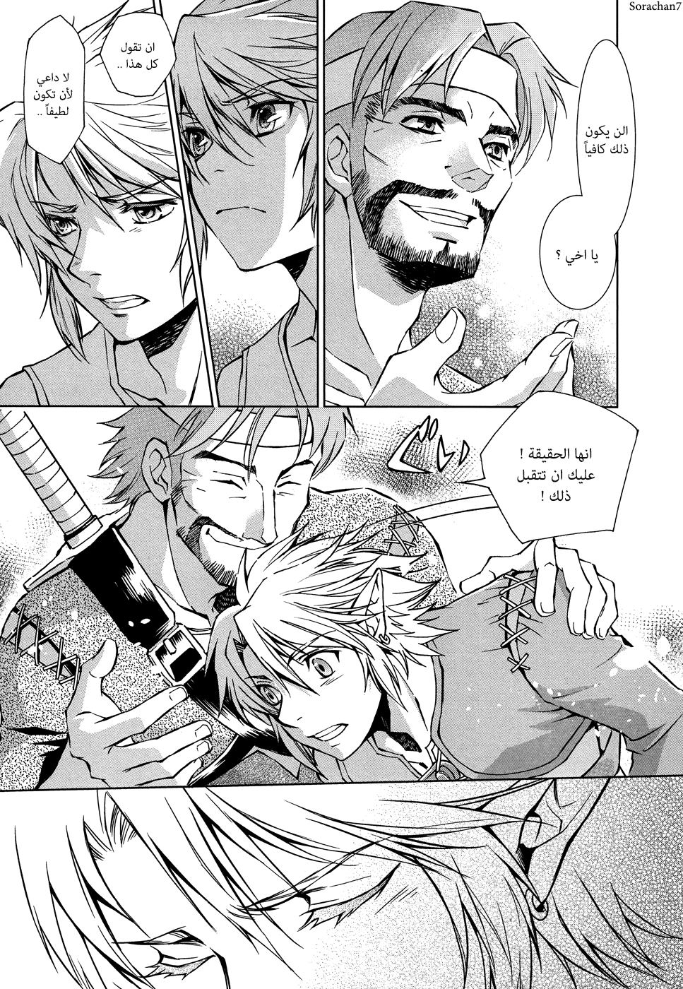 Zelda no Densetsu: Twilight Princess: Chapter 6 - Page 11