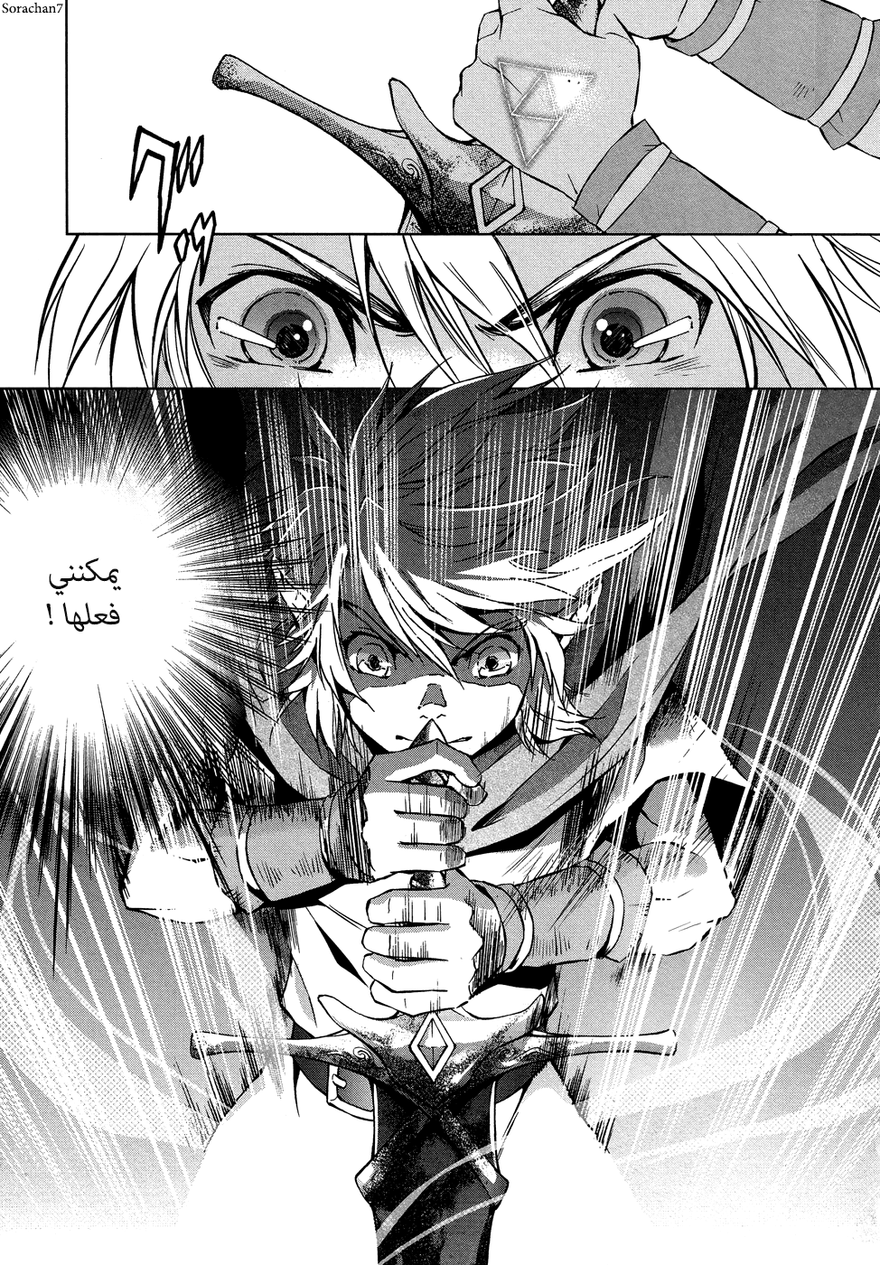 Zelda no Densetsu: Twilight Princess: Chapter 6 - Page 17