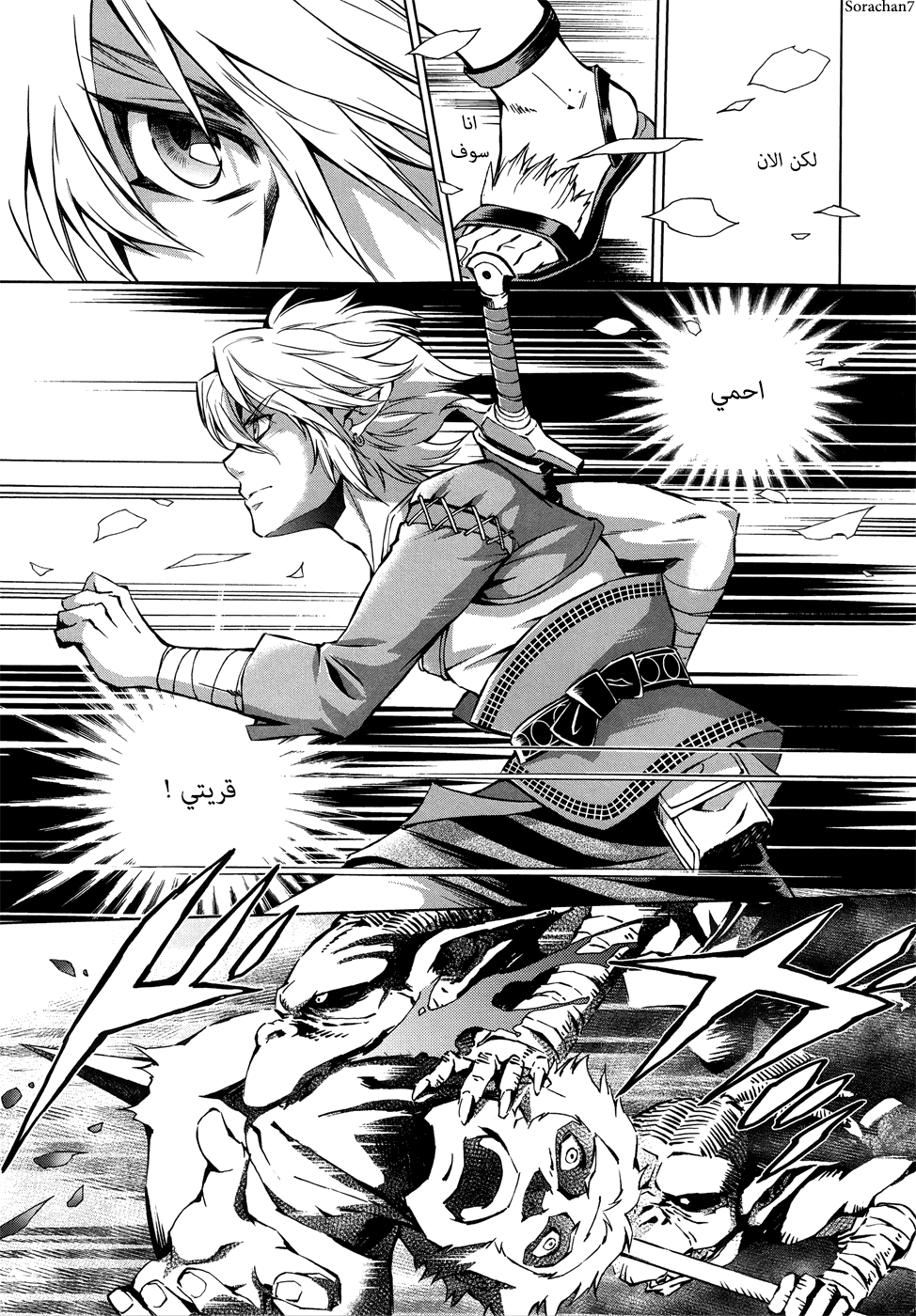 Zelda no Densetsu: Twilight Princess: Chapter 7 - Page 7