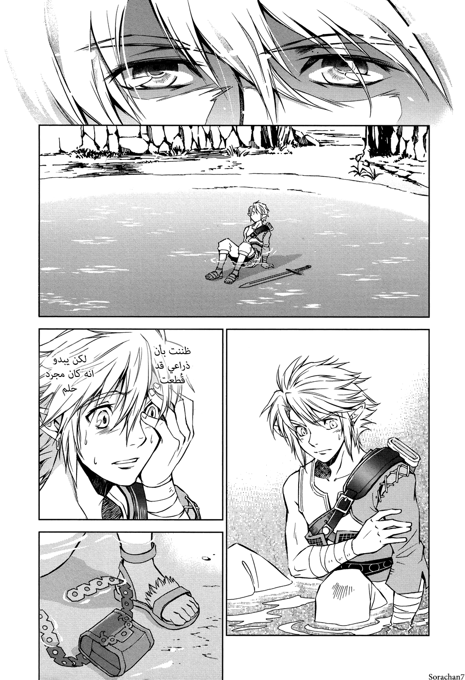 Zelda no Densetsu: Twilight Princess: Chapter 8 - Page 8