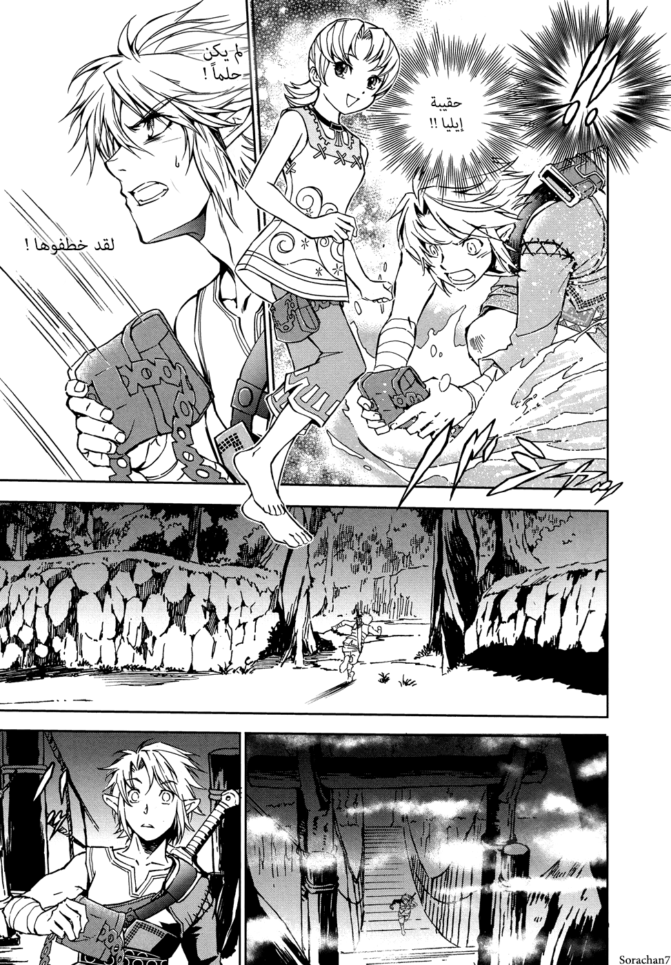 Zelda no Densetsu: Twilight Princess: Chapter 8 - Page 9