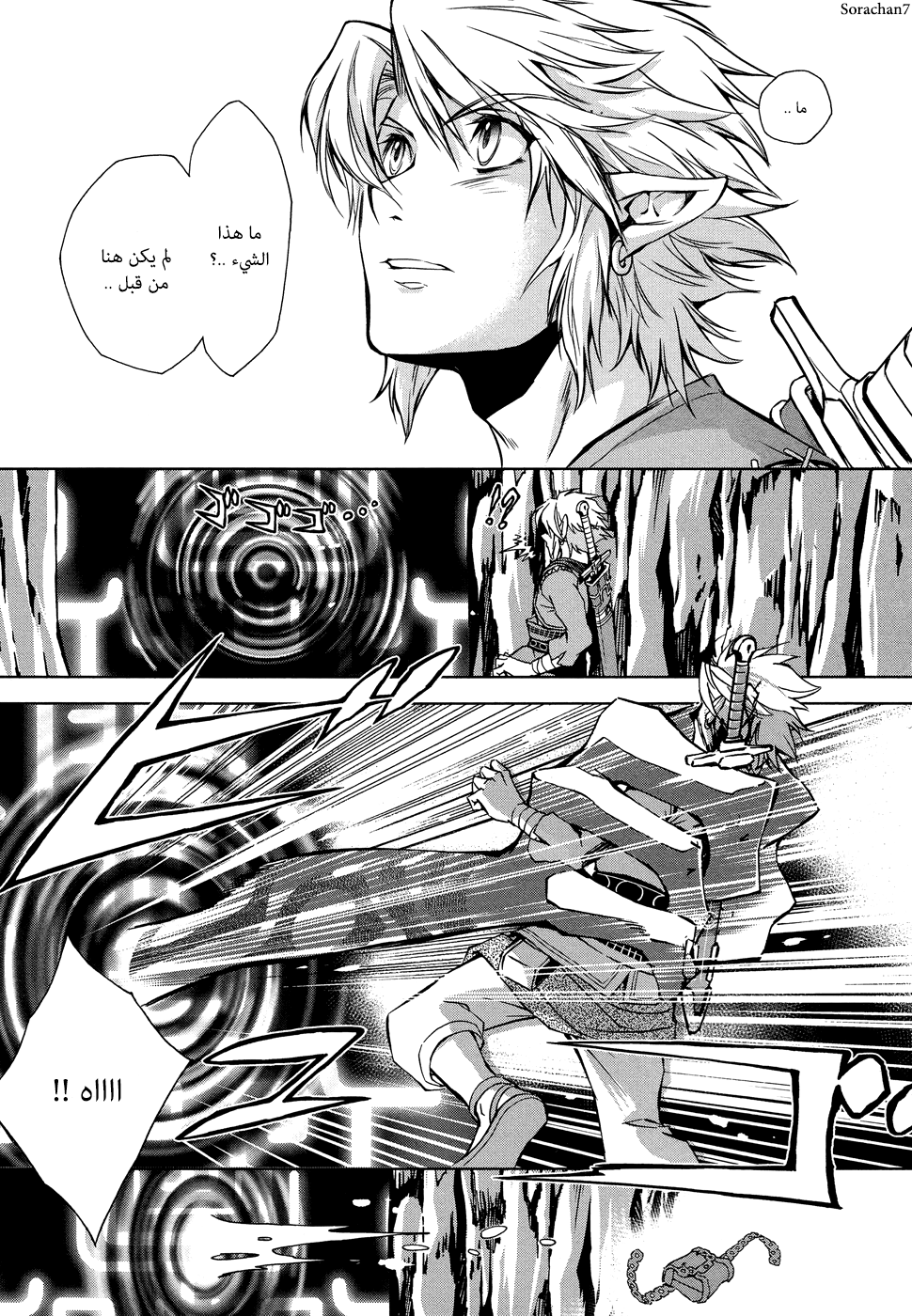 Zelda no Densetsu: Twilight Princess: Chapter 8 - Page 11