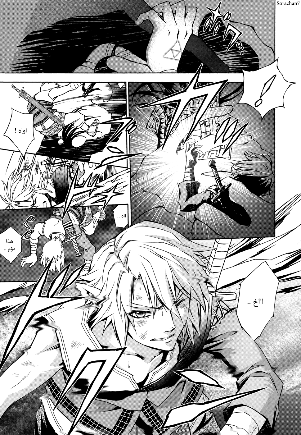 Zelda no Densetsu: Twilight Princess: Chapter 8 - Page 13