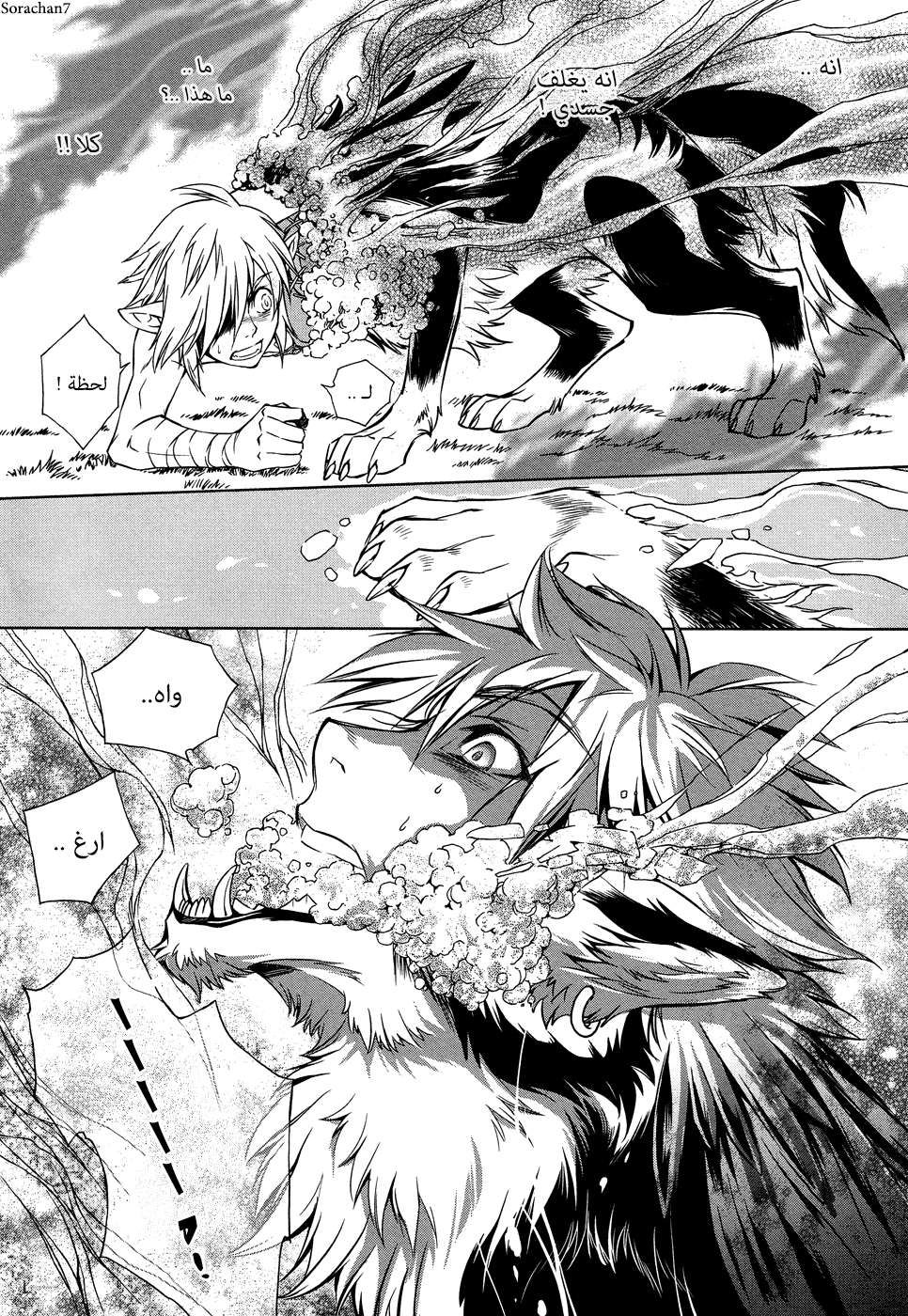 Zelda no Densetsu: Twilight Princess: Chapter 8 - Page 15