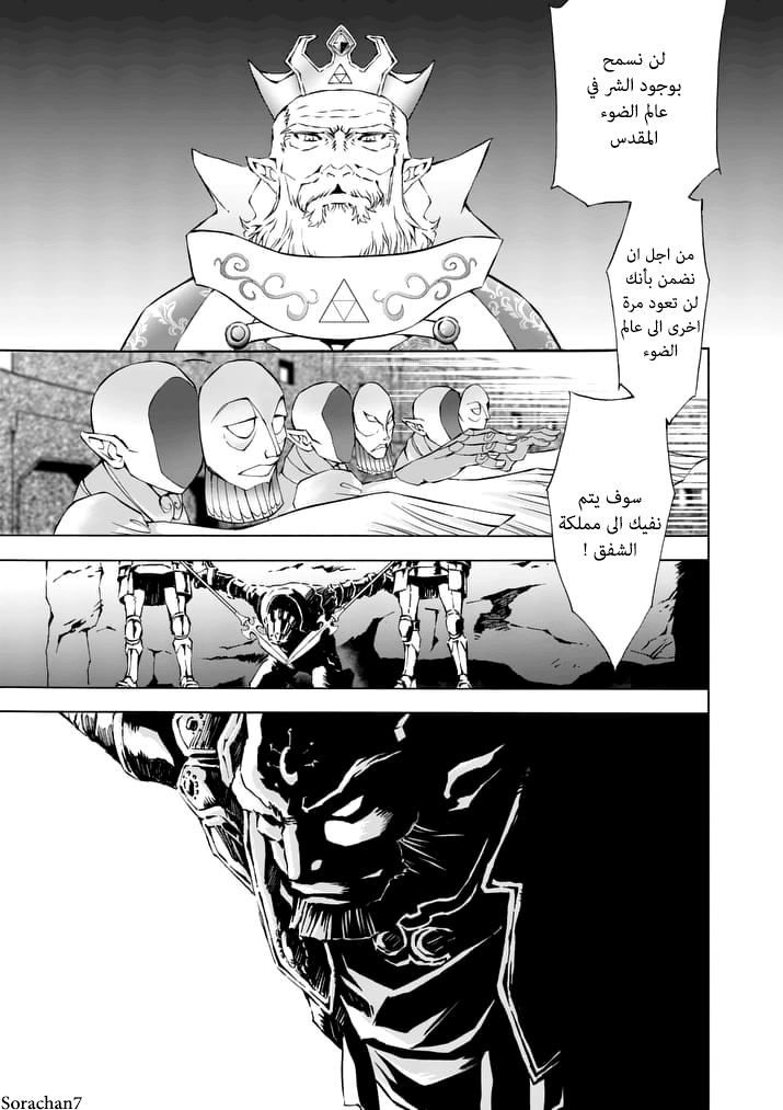 Zelda no Densetsu: Twilight Princess: Chapter 9 - Page 3