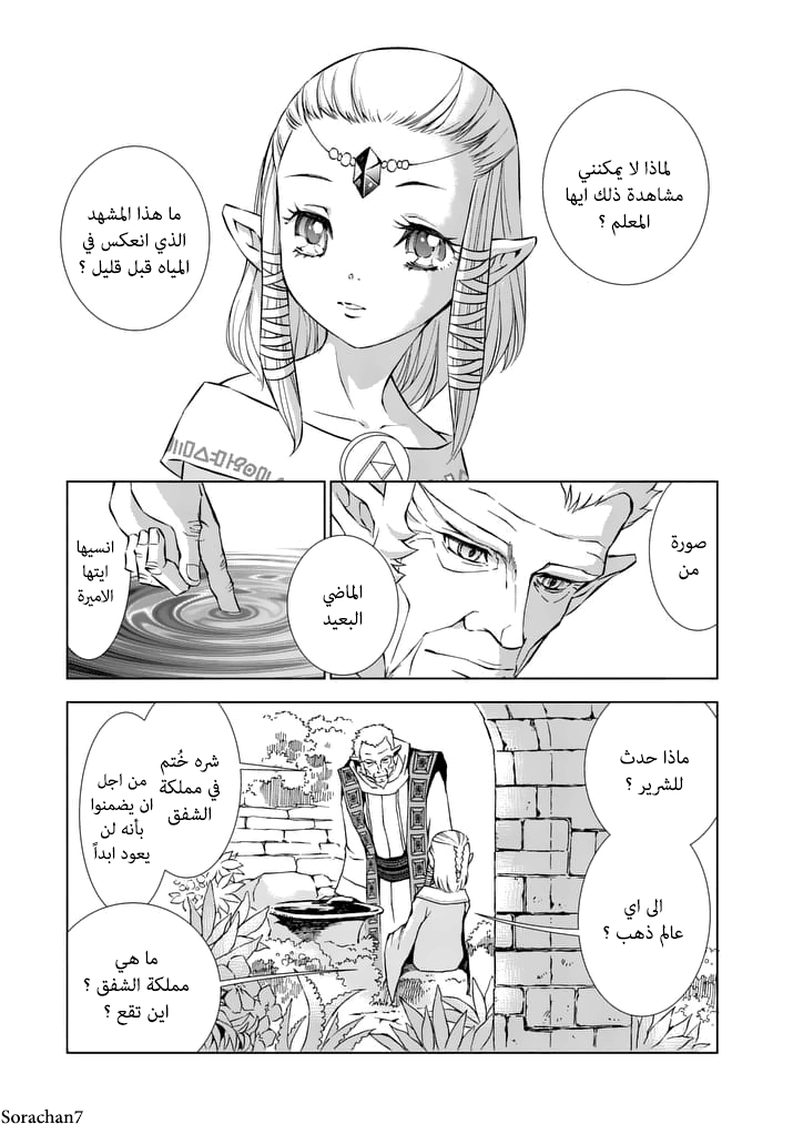 Zelda no Densetsu: Twilight Princess: Chapter 9 - Page 9