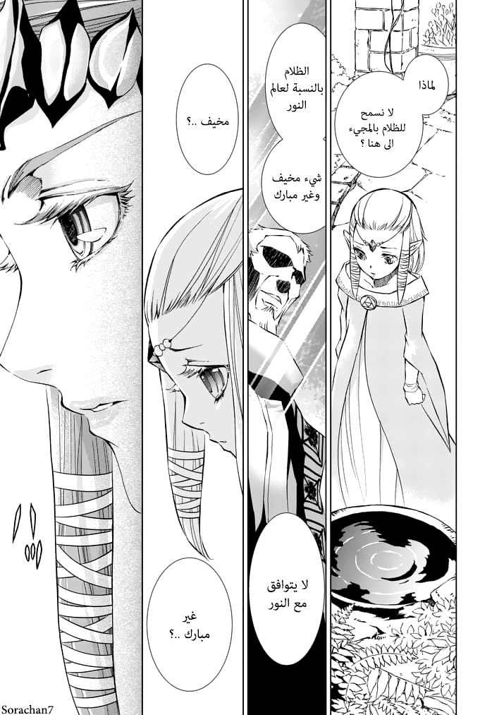 Zelda no Densetsu: Twilight Princess: Chapter 9 - Page 11