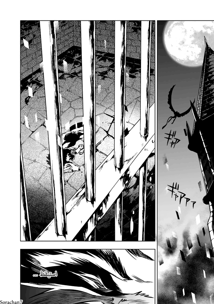 Zelda no Densetsu: Twilight Princess: Chapter 9 - Page 14