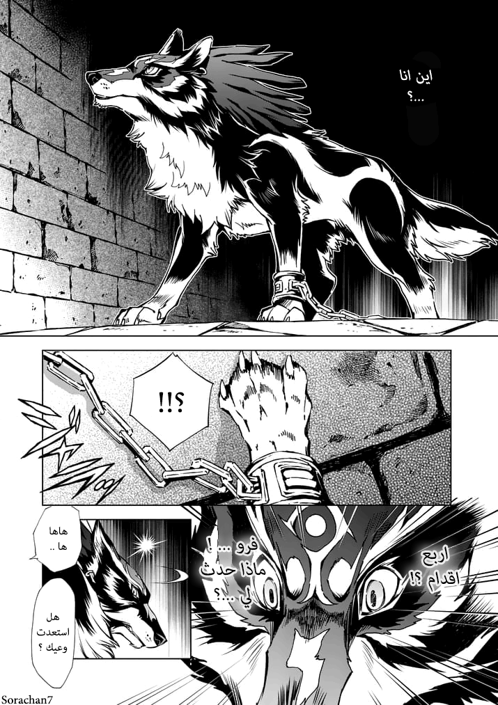 Zelda no Densetsu: Twilight Princess: Chapter 9 - Page 17